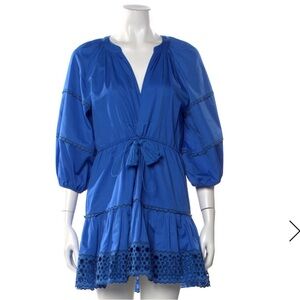 Alexis Cobalt Blue Button-Front Dress